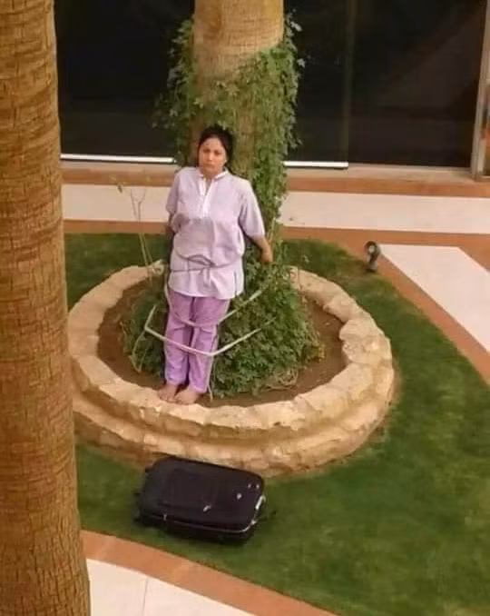 Chi vi dieu nay, nguoi giup viec bi phat theo cach khong ngo-Hinh-2