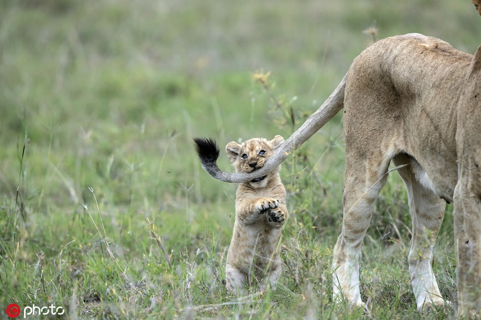 Su tu nho nghich ngom, thach thuc me day bat ngo-Hinh-3