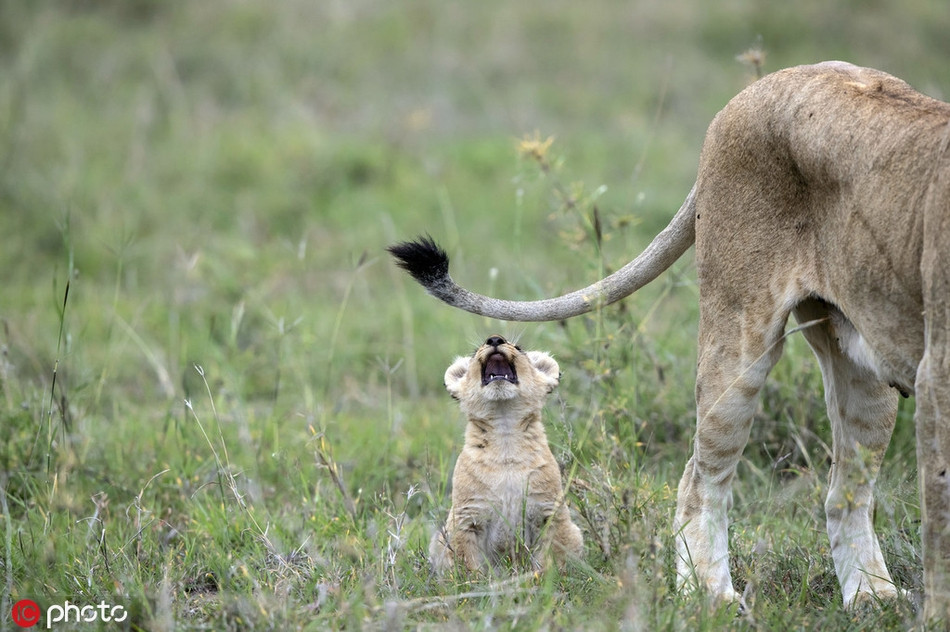 Su tu nho nghich ngom, thach thuc me day bat ngo-Hinh-2