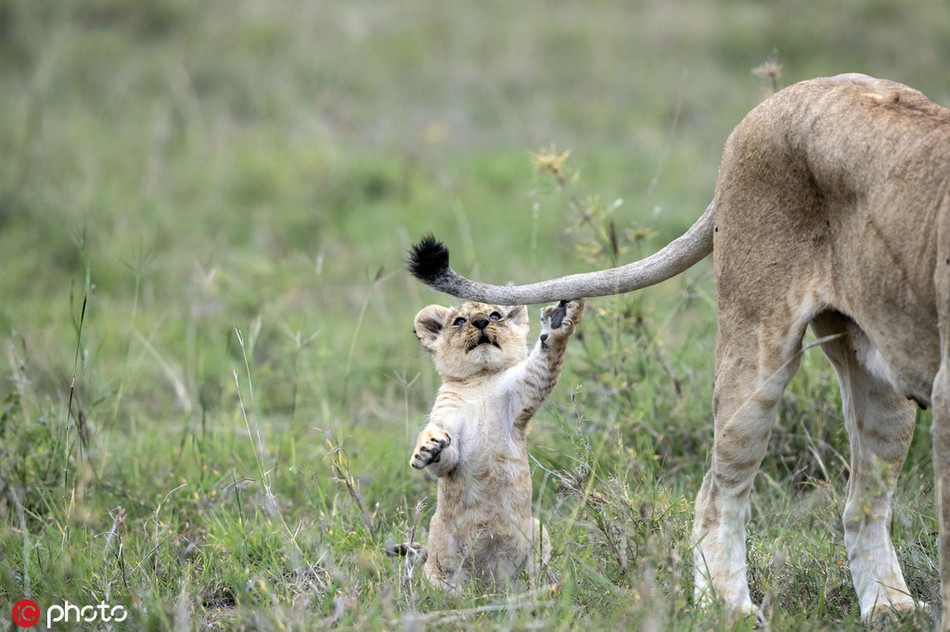 Su tu nho nghich ngom, thach thuc me day bat ngo