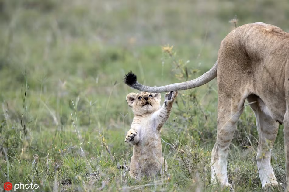 Su tu nho nghich ngom, thach thuc me day bat ngo