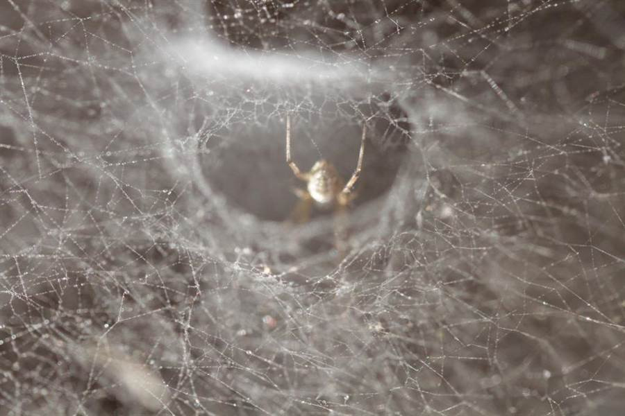 Tai ngua, chang trai kiem tra, phat hien dieu la kinh hoang