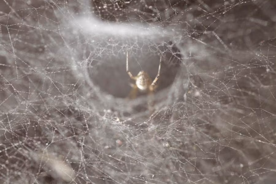 Tai ngua, chang trai kiem tra, phat hien dieu la kinh hoang