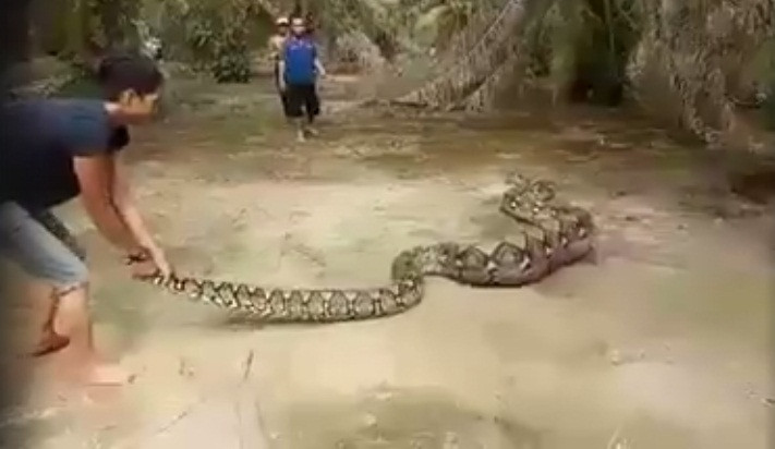 Nuot moi qua to, tran khong lo thanh do choi cua con nguoi