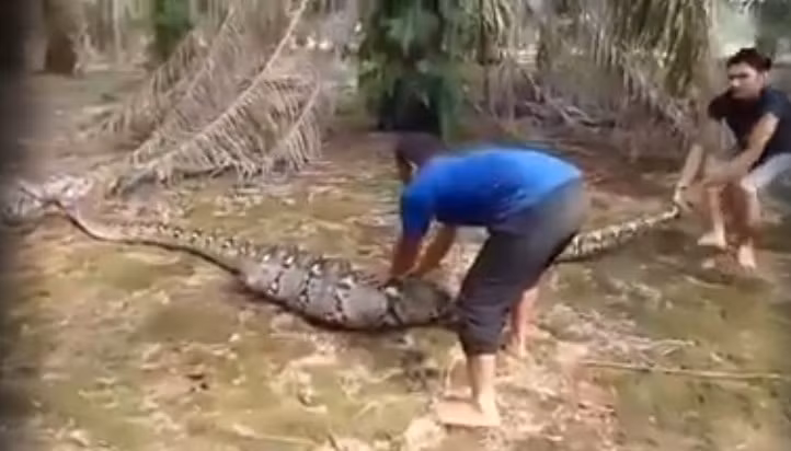 Nuot moi qua to, tran khong lo thanh do choi cua con nguoi-Hinh-2