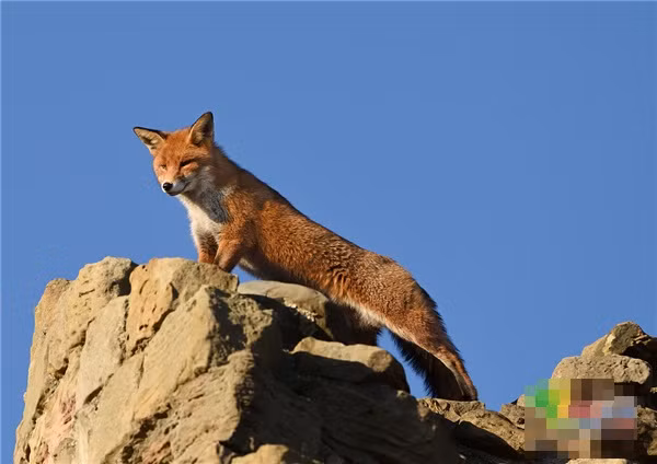 An tuong canh cao do hung dung nhu 