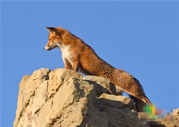 An tuong canh cao do hung dung nhu 