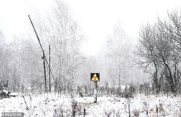 Vài chục năm sau thảm họa hạt nhân Chernobyl, sói, nai sừng tấm và các loài động vật hoang dã khác vẫn sinh sống và phát triển ở khu vực bị ô nhiễm nặng.