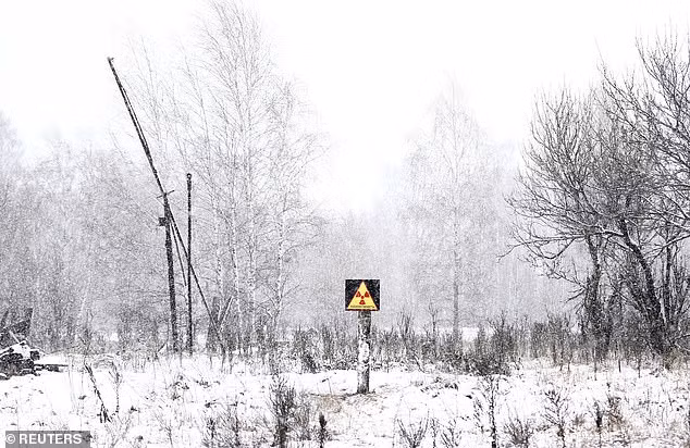 Vài chục năm sau thảm họa hạt nhân Chernobyl, sói, nai sừng tấm và các loài động vật hoang dã khác vẫn sinh sống và phát triển ở khu vực bị ô nhiễm nặng.