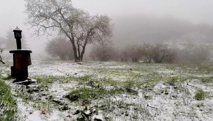 Ngo ngang xem tan mat hien tuong tuyet roi mua he sieu hiem