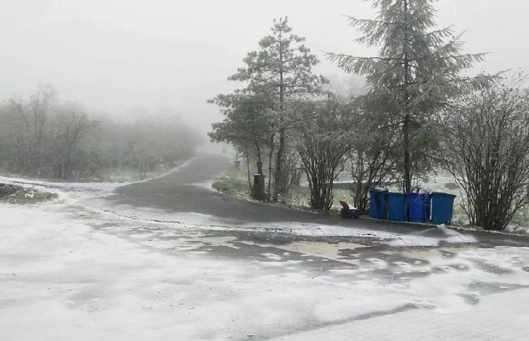 Ngo ngang xem tan mat hien tuong tuyet roi mua he sieu hiem-Hinh-2