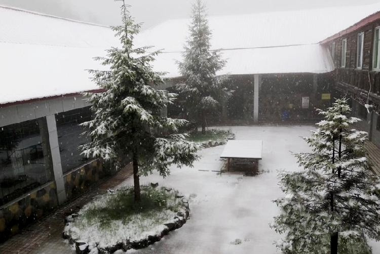 Ngo ngang xem tan mat hien tuong tuyet roi mua he sieu hiem-Hinh-4