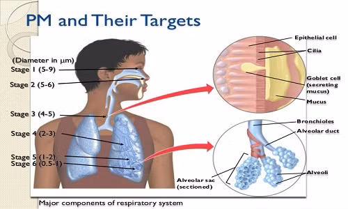 Không khí bẩn có thể gây bệnh tim mạch Khong khi ban co the gay benh tim mach