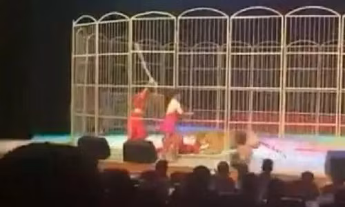 Bi boc lot kiet suc, ho tan cong huan luyen vien