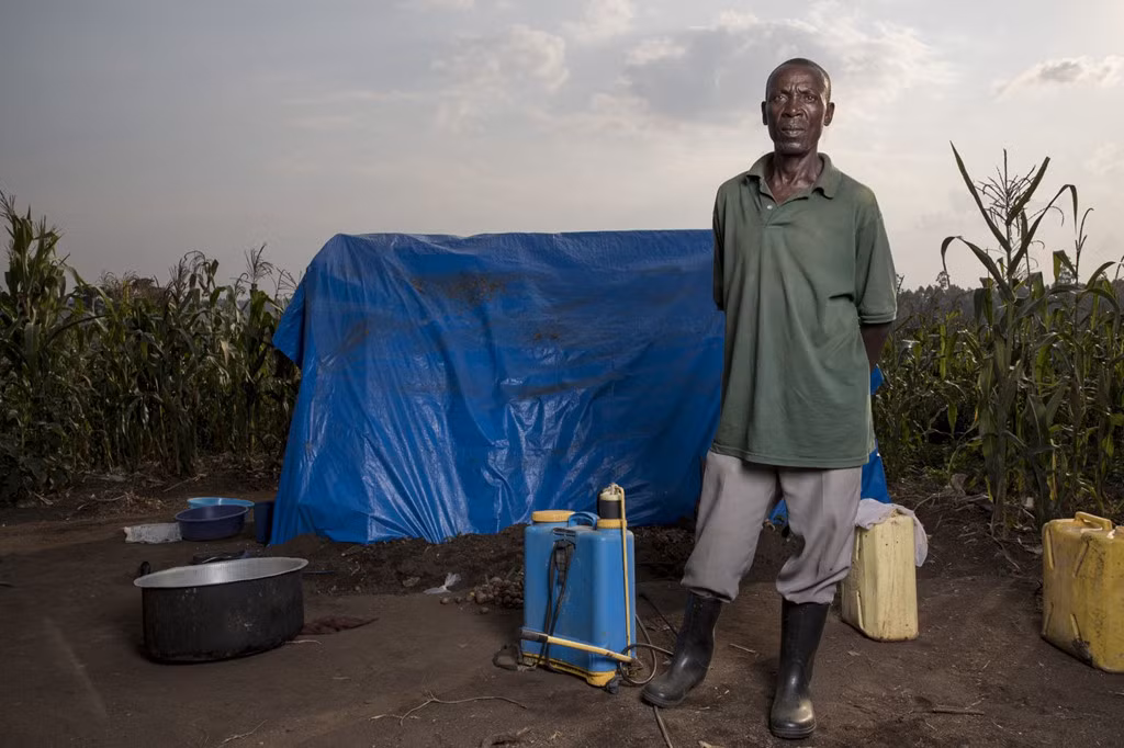 “Bat” thu pham khien khuon mat tinh tinh bien dang-Hinh-2