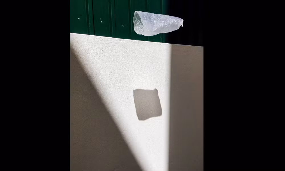 Giải nhất hạng mục cuộc sống thuộc về tác giả Claria Phiri Beierdoerffer.