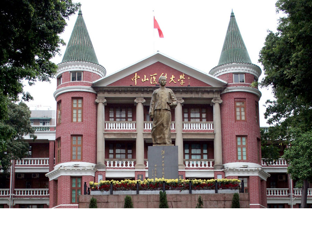 Tri tue nhan tao Trung Quoc da dat canh gioi gia mao hoan hao-Hinh-4