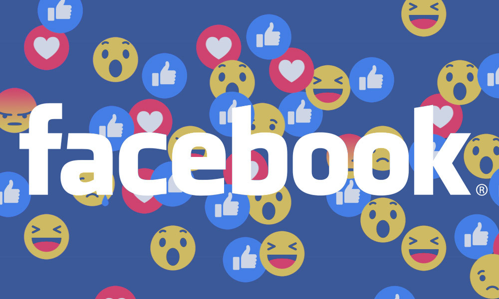 Tuong “chet chim” vi be boi, Facebook van tang deu-Hinh-4