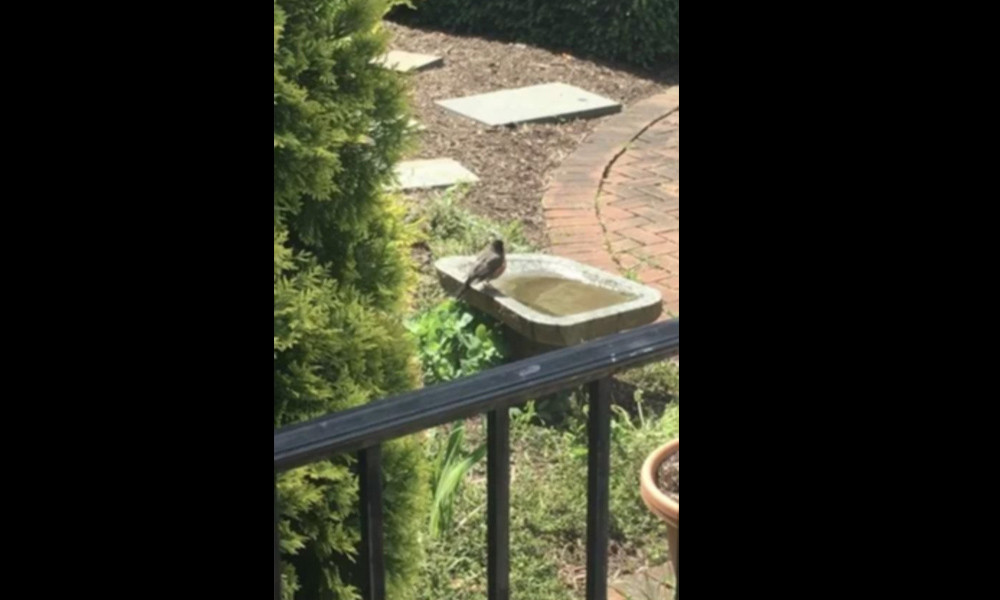 Hệ thống AI xác nhận bức ảnh này là “Đồng hồ mặt trời” trong khi thực chất, hình ảnh này là của một chiếc lan can màu đen.