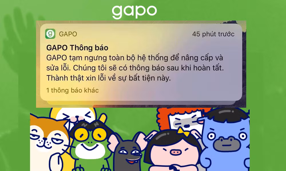 Cho tới sáng 24/7, người dùng mới vẫn có thể đăng ký tạo tài khoản và truy cập mạng xã hội Gapo, nhưng gặp phải rất nhiều lỗi. Hiện Gapo.vn phiên bản web không thể hoạt động, Gapo chỉ làm việc trên ứng dụng nền tảng iOS và Android.