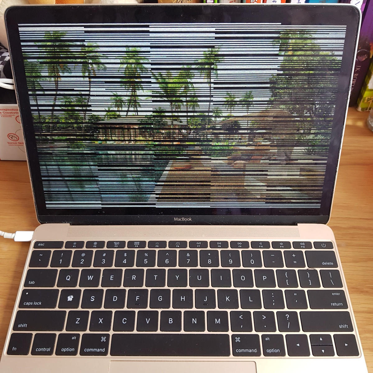 Macbook lien tuc rot gia tham hai, nguyen nhan do dau?-Hinh-3