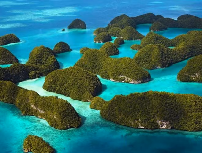 Quần đảo Galapagos (Ecuador): Là một trong những địa danh đầu tiên được UNESCO đưa vào danh sách di sản thế giới, nằm ở phía nam của Thái Bình Dương và cách bờ biển Ecuador 1.000 km về phía tây.