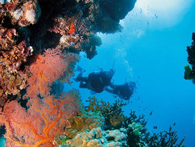 Rạn san hô Great Barrier Reef (Australia): Là rạn san hô lớn nhất thế giới, bao phủ một vùng với diện tích lên đến 380.000 km2, bao gồm khoảng 3.000 tảng đá ngầm và 900 hòn đảo.