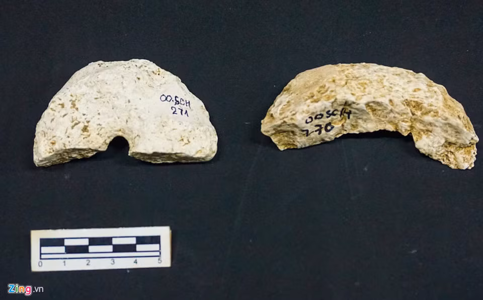 Vật dụng trang sức của cư dân Sa Huỳnh. Qua các lần khai quật, các nhà khảo cổ nhận định tầng văn hoá di chỉ Suối Chình có chứa gốm, vỏ nhuyễn thể, chủ yếu là ốc như ốc cừ, ốc hoa, ốc nhảy, ốc xéo, ốc tai tượng, ốc đụn, ốc chìa vôi, ốc bàn tay, sò trơn, sò gai...