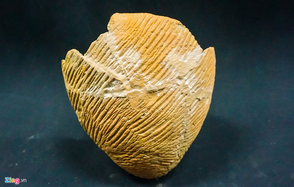 Bình gốm hình trứng phát hiện ở di tích Suối Chình. Đồ tùy táng trong các mộ chum Sa Huỳnh là đồ trang sức hạt cườm đá, các khuyên tai, hạt cườm thủy tinh, hạt chuỗi chế tác từ vỏ tridacna (ốc tượng)...