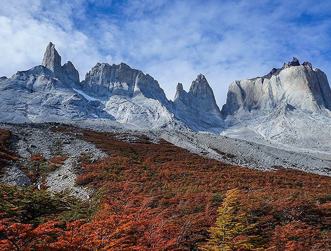 Lính cứu hỏa phải mất 10 ngày để kiểm soát đám cháy. Người dân Cộng hòa Czech cảm thấy xấu hổ trước vụ việc này đến mức đã quyên góp hơn một triệu USD để giúp phục hồi.