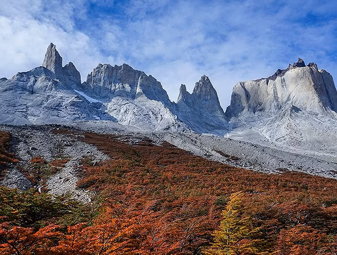Lính cứu hỏa phải mất 10 ngày để kiểm soát đám cháy. Người dân Cộng hòa Czech cảm thấy xấu hổ trước vụ việc này đến mức đã quyên góp hơn một triệu USD để giúp phục hồi.