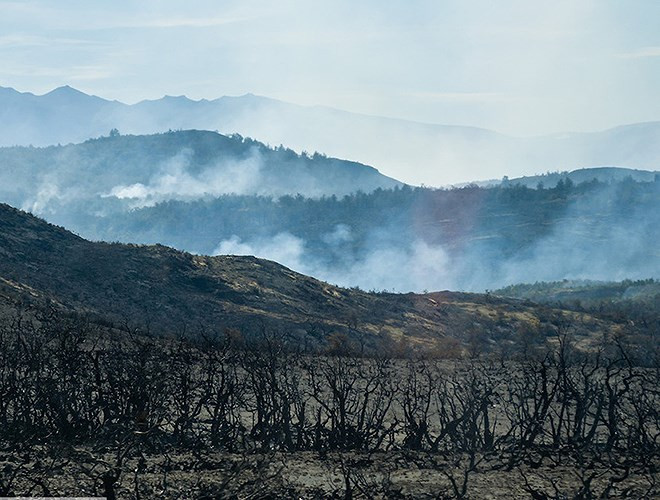 Năm 2005, du khách người Czech - Jiri Smitak - gây ra đám cháy lớn, thiêu rụi 5% diện tích công viên.