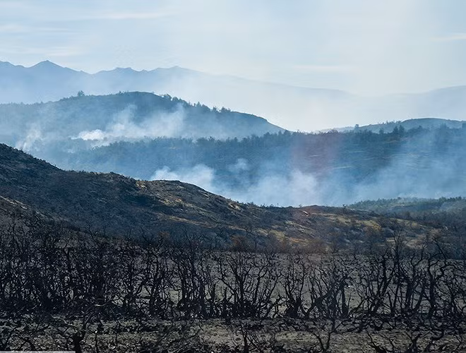 Năm 2005, du khách người Czech - Jiri Smitak - gây ra đám cháy lớn, thiêu rụi 5% diện tích công viên.