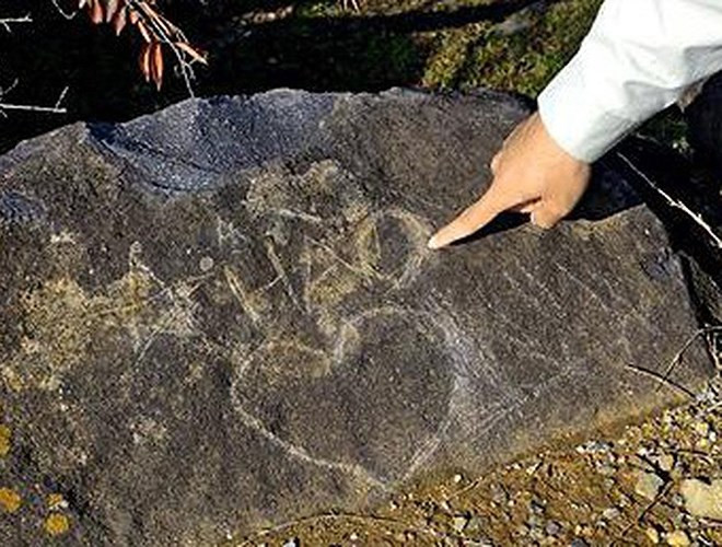 Trong đó, ký tự "Hào" được cho là khá giống một chữ trong tiếng Việt. Thông tin trên đã lan truyền trên các diễn đàn ở Nhật Bản, Việt Nam và thu hút rất nhiều bình luận. Tuy chưa tìm ra thủ phạm phá hoại di tích nhưng nghi vấn du khách vô ý thức này là người Việt Nam