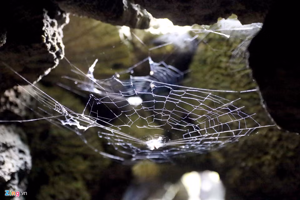 Công trình cũng được các sư thầy xây dựng chủ yếu bằng san hô và vỏ so, vỏ ốc rất tinh xảo.