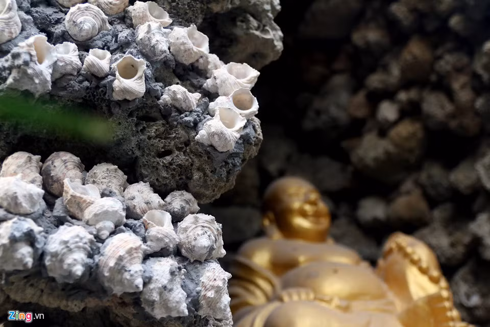 "Thật sự ngạc nhiên khi chứng kiến một công trình đồ sộ mà được làm bằng vỏ ốc và san hô. Rất đẹp và thanh tịnh", chị Nga đến từ TP.HCM trầm trồ.