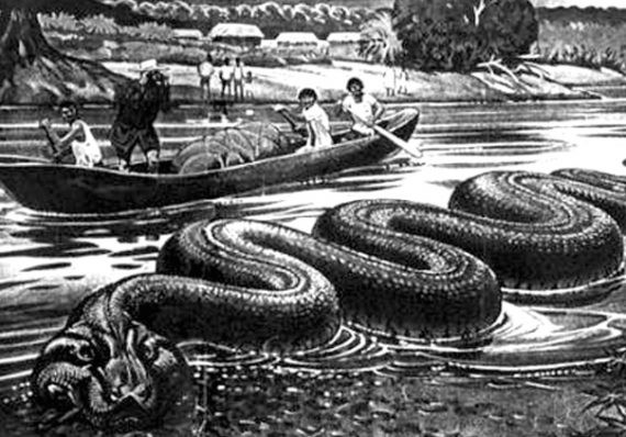 Những câu chuyện về những con rắn khổng lồ cũng được cố thủ trong những huyền thoại và truyền thuyết của người dân địa phương, và có những bức tranh và tranh khắc cổ xưa của người Maya miêu tả những con rắn khổng lồ lớn hơn bất cứ thứ gì đã biết. Các con rắn từ lâu đã được cho là tự dấu mình dưới nước, chỉ xuất hiện khi tìm thấy con mồi.