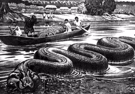 Những câu chuyện về những con rắn khổng lồ cũng được cố thủ trong những huyền thoại và truyền thuyết của người dân địa phương, và có những bức tranh và tranh khắc cổ xưa của người Maya miêu tả những con rắn khổng lồ lớn hơn bất cứ thứ gì đã biết. Các con rắn từ lâu đã được cho là tự dấu mình dưới nước, chỉ xuất hiện khi tìm thấy con mồi.