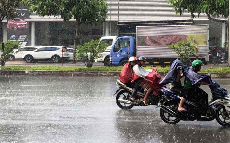 Nguoi Sai Gon hao huc don “mua vang” giua nang nong-Hinh-5