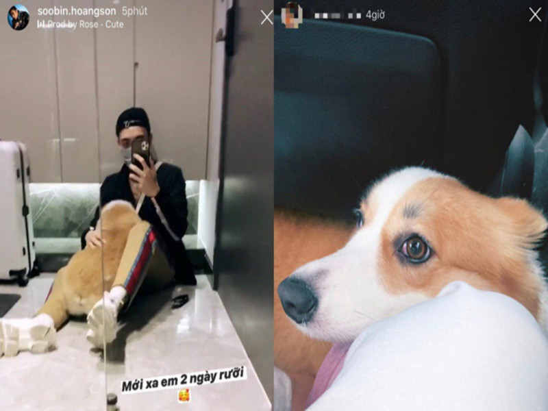 Soobin Hoàng Sơn và N.H.N còn cùng nuôi một chú cún có tên là Bắp. Ảnh: Saostar