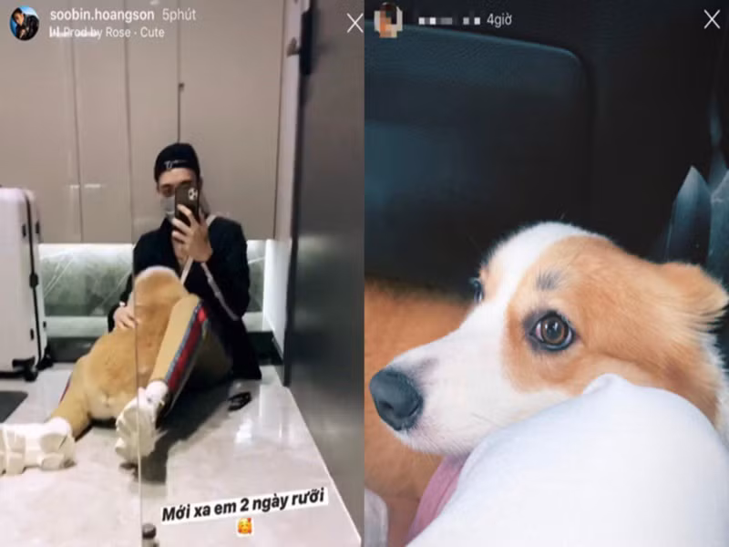 Soobin Hoàng Sơn và N.H.N còn cùng nuôi một chú cún có tên là Bắp. Ảnh: Saostar