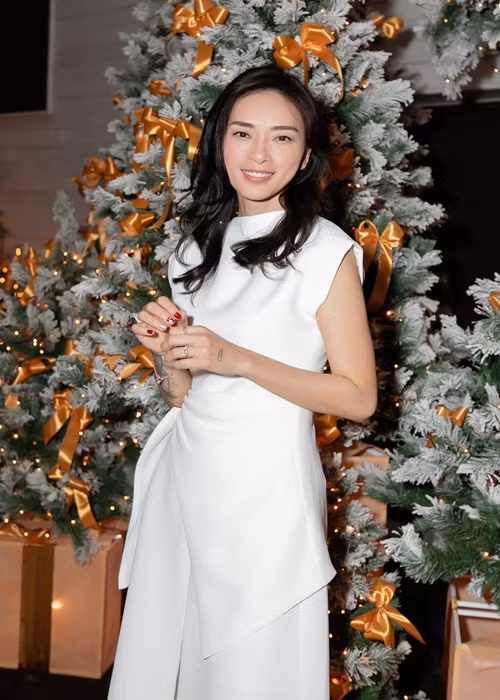 Ngô Thanh Vân sản xuất nhiều dự án điện ảnh đình đám, từng đắt show quảng cáo.