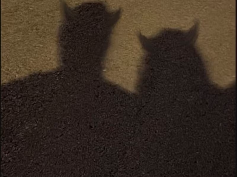 Cách đây không lâu, hình ảnh Mỹ Anh bên một người giấu mặt gây tò mò.