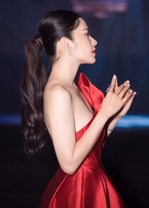 Ngoài lợi thế sắc vóc, Nam Em còn có kinh nghiệm thi nhan sắc. Cô là Hoa khôi Đồng bằng sông Cửu Long 2015, lọt top 8 Miss Earth 2016 - Hoa hậu Trái đất 2016.