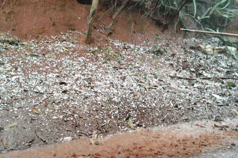 Mua da to nhu qua trung ga, hang chuc mai nha thung lo cho-Hinh-2