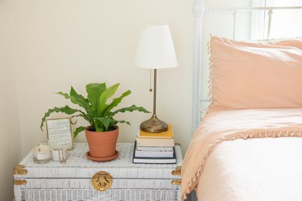 Cây lan tổ điểu (ráng ổ phụng): Nếu trong căn hộ của bạn có một chậu dương xỉ phát triển tốt, nó sẽ trở thành thứ giúp thúc đẩy tinh thần và tâm trạng rất tốt. Tuy nhiên, nhiều loại dương xỉ có nhu cầu cao về độ ẩm nên khó có thể sống trong môi trường trong nhà. Với lan tổ điểu, một loài cây thuộc họ dương xỉ, thì khác. Chúng sống được trong điều kiện ánh sáng yếu và độ ẩm trung bình. Cũng là loài biểu sinh nên lan tổ điểu chỉ cần trồng trong một hỗn hợp vật liệu cứng, cho phép không khí lưu thông xung quanh rễ.