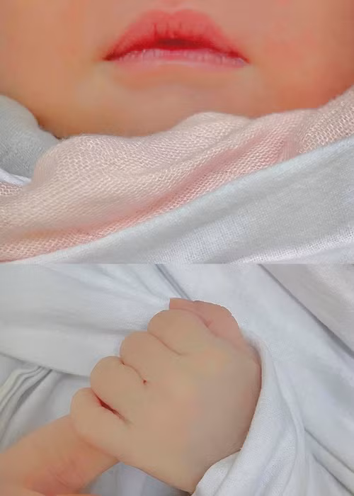 Không chỉ ông xã của Phanh Lee, con gái của nữ diễn viên cũng không lộ diện hoàn toàn.