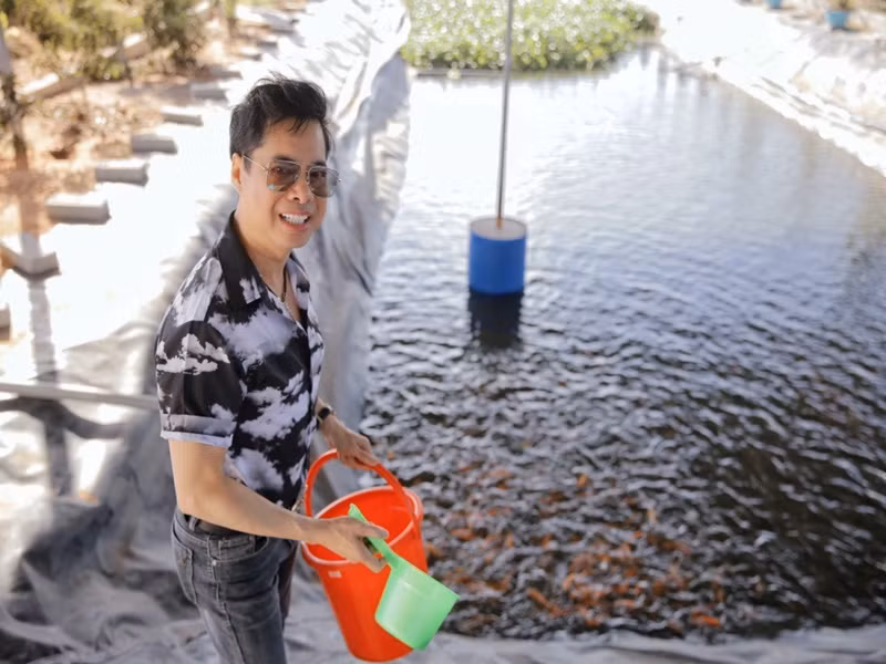 Ngoài cá, nông trại của Ngọc Sơn còn có gà Đông Tảo, cầy hương, các loại chim.