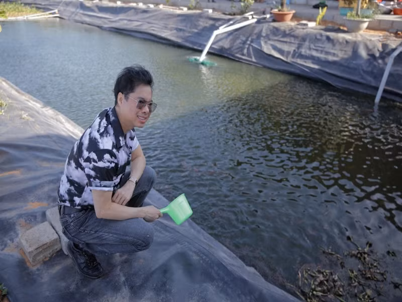 Ngọc Sơn cho cá ăn.