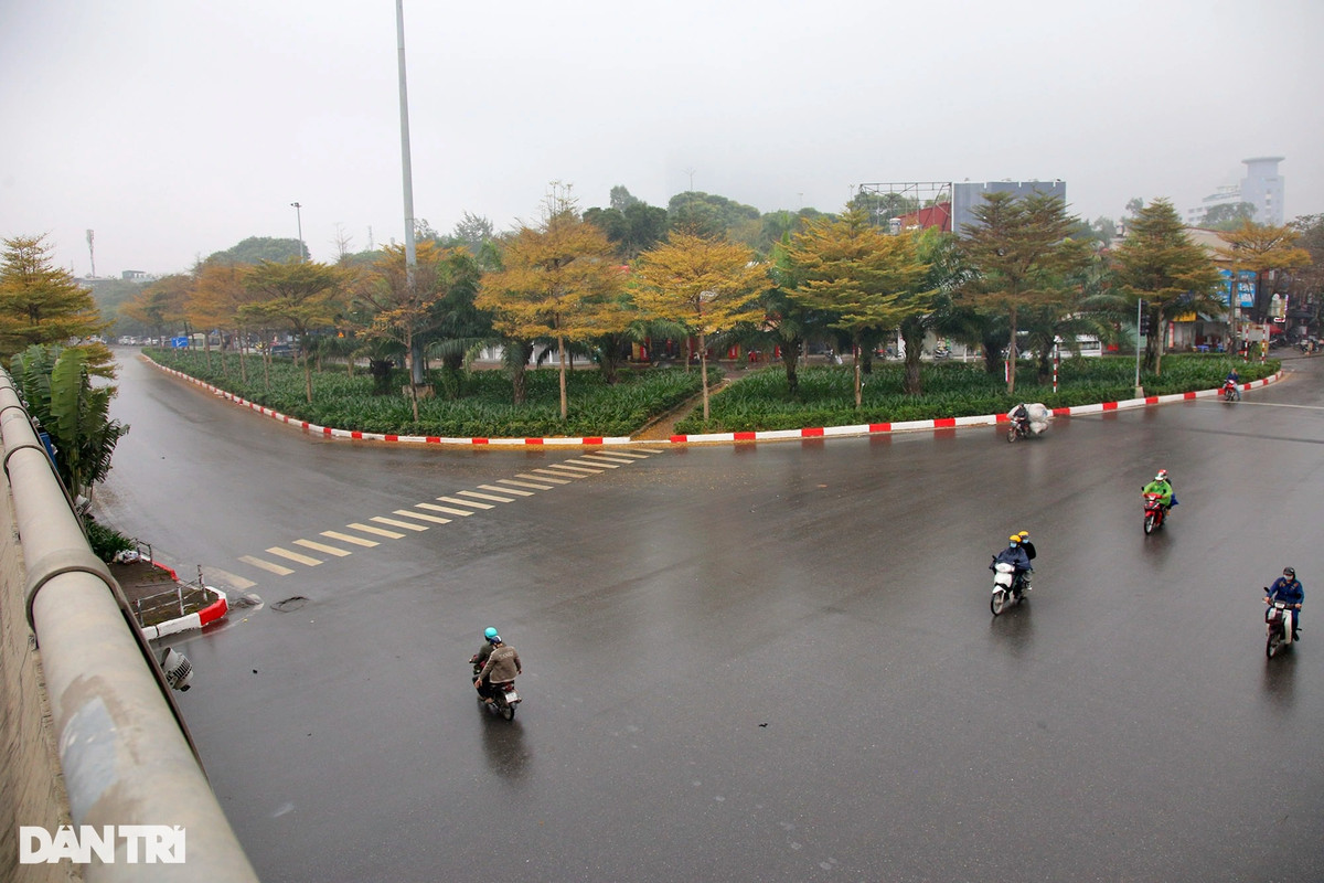 Đoạn ngã tư Cầu Giấy, cây được trồng nhiều trên đảo giao thông.